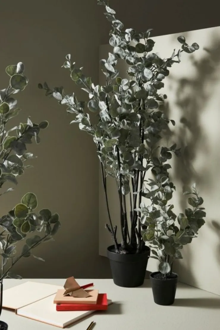 Piante Artificiali>Bizzotto PIANTA EUCALIPTO C-VASO H82