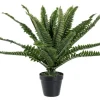 Piante Artificiali>Bizzotto PIANTA FELCE H45