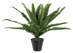 Piante Artificiali>Bizzotto PIANTA FELCE H45