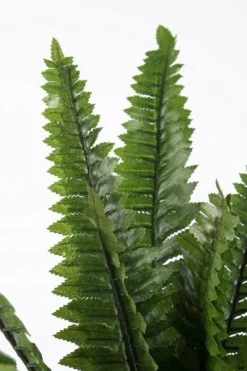 Piante Artificiali>Bizzotto PIANTA FELCE H45