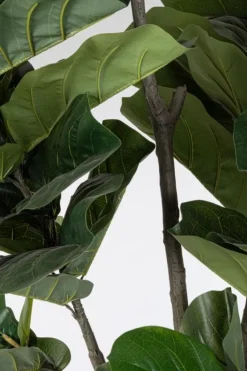 Piante Artificiali>Bizzotto PIANTA FICUS LYRATA C-VAS 123FOGLIE H230