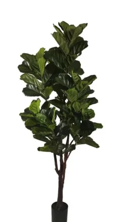 Piante Artificiali>Bizzotto PIANTA FICUS LYRATA C-VAS 102FOGLIE H220
