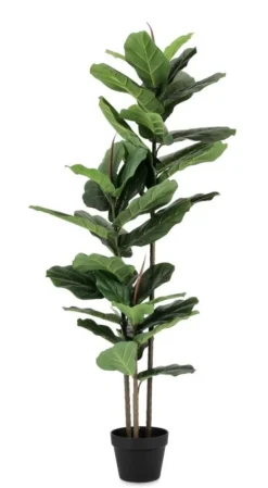 Piante Artificiali>Bizzotto PIANTA FICUS LYRATA C-VASO 39FOGLIE H145