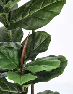 Piante Artificiali>Bizzotto PIANTA FICUS LYRATA C-VASO 39FOGLIE H145