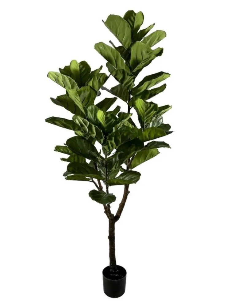 Piante Artificiali>Bizzotto PIANTA FICUS LYRATA C-VASO 60FOGLIE H180