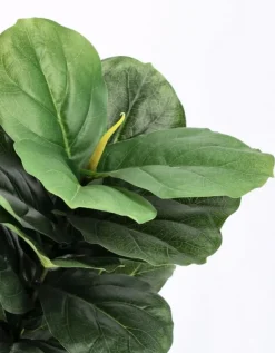 Piante Artificiali>Bizzotto PIANTA FICUS LYRATA C-VASO 72FOGLIE H120