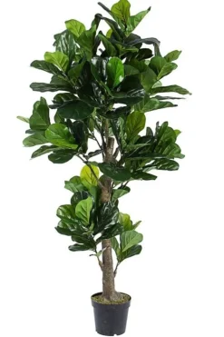 Piante Artificiali>Bizzotto PIANTA FICUS LYRATA C-VASO 153FOGL H190