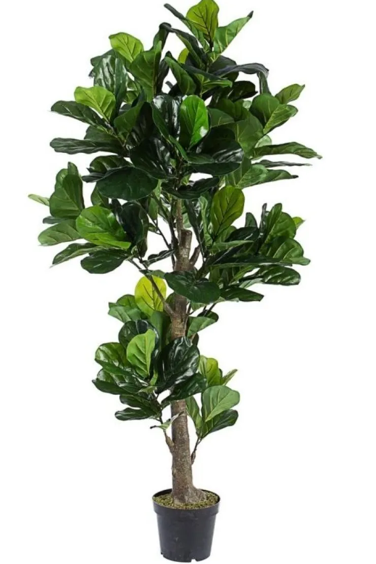 Piante Artificiali>Bizzotto PIANTA FICUS LYRATA C-VASO 153FOGL H190