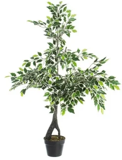Piante Artificiali>Bizzotto PIANTA FICUS VARIEGATO C-VASO X760F H120