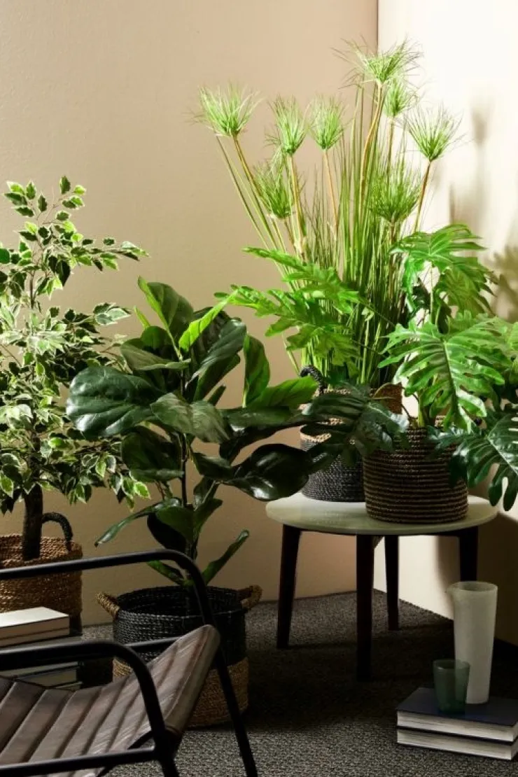 Piante Artificiali>Bizzotto PIANTA FICUS VARIEGATO C-VASO X760F H120