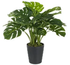 Piante Artificiali>Bizzotto PIANTA FILODENDRO C-VASO 24FOGLIE H65CM