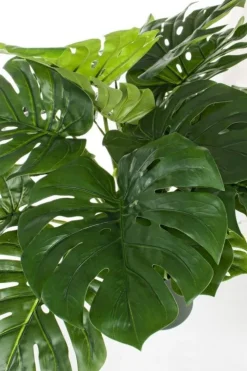 Piante Artificiali>Bizzotto PIANTA FILODENDRO C-VASO 24FOGLIE H65CM