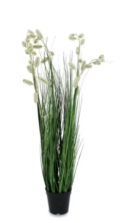 Piante Artificiali>Bizzotto PIANTA GREVILLEA BIANCO C-VASO X5F H100