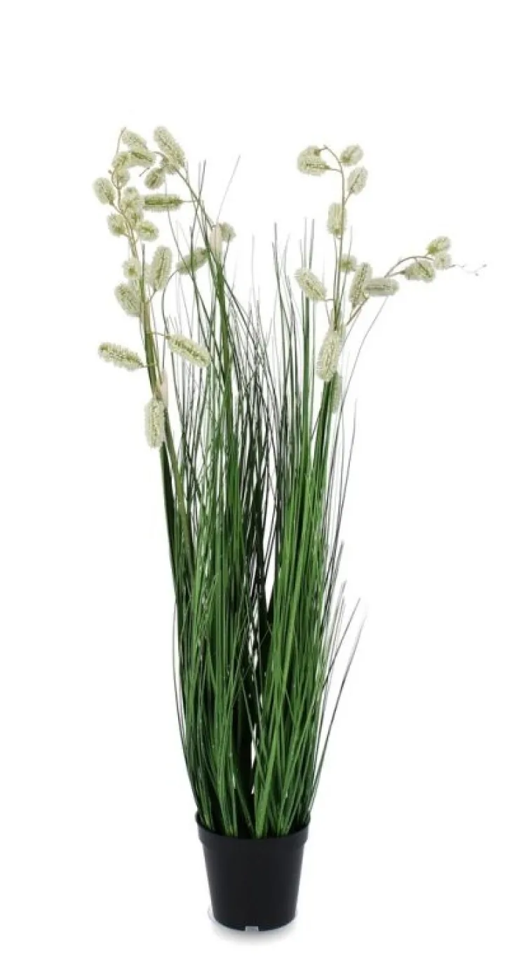 Piante Artificiali>Bizzotto PIANTA GREVILLEA BIANCO C-VASO X5F H100