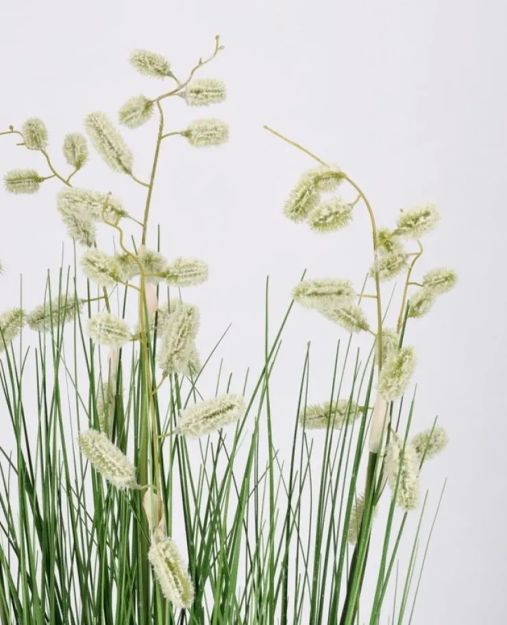 Piante Artificiali>Bizzotto PIANTA GREVILLEA BIANCO C-VASO X5F H100