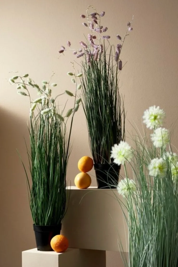 Piante Artificiali>Bizzotto PIANTA GREVILLEA BIANCO C-VASO X5F H100