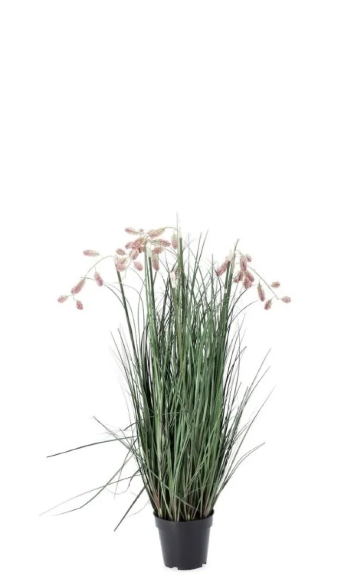 Piante Artificiali>Bizzotto PIANTA GREVILLEA ROSA C-VASO X5F H100