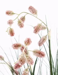 Piante Artificiali>Bizzotto PIANTA GREVILLEA ROSA C-VASO X5F H100