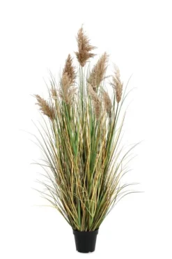 Piante Artificiali>Bizzotto PIANTA GYNERIUM PAMPAS C-VASO H150