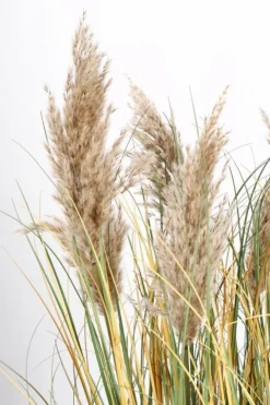 Piante Artificiali>Bizzotto PIANTA GYNERIUM PAMPAS C-VASO H120