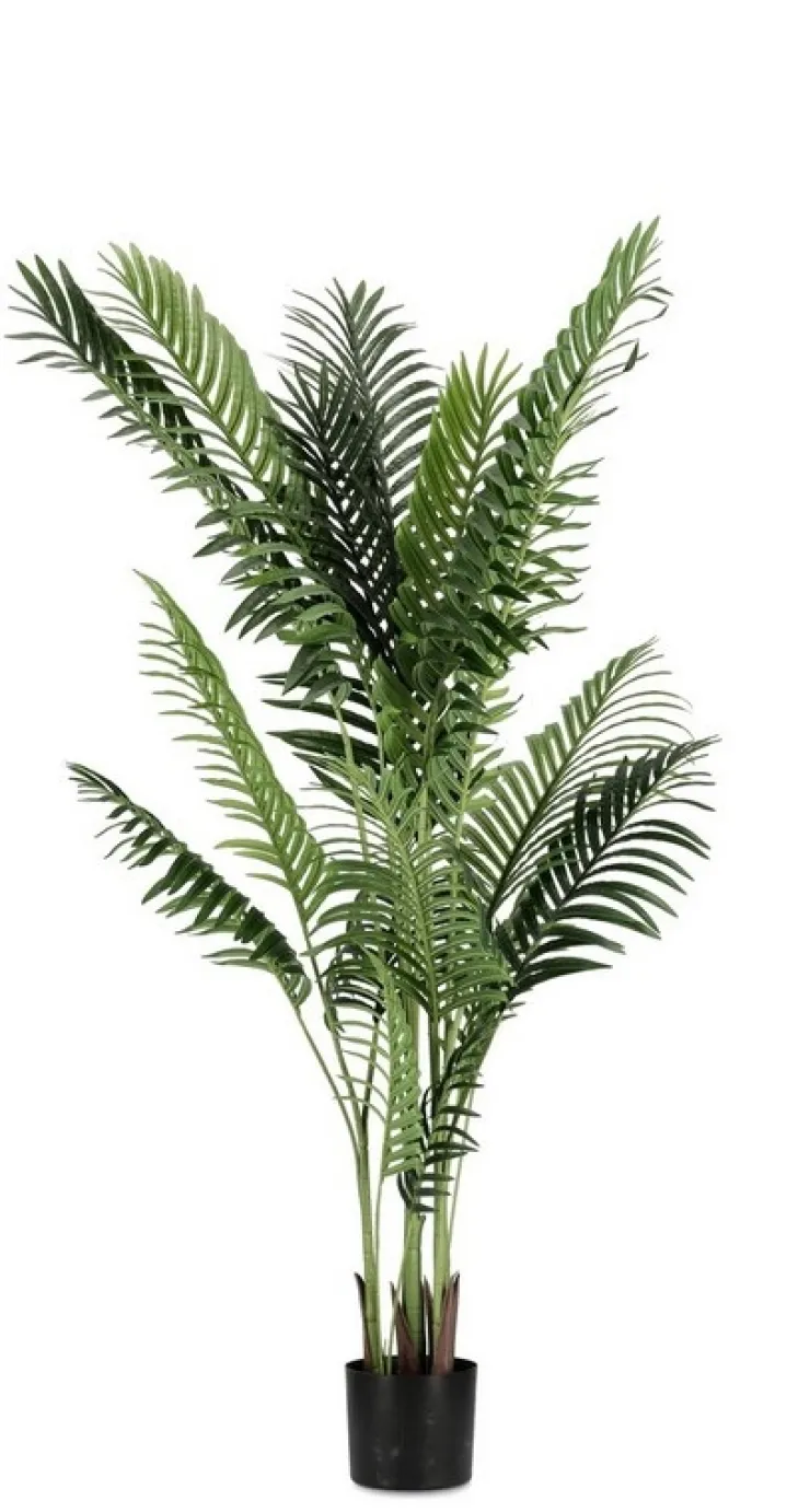 Piante Artificiali>Bizzotto PIANTA KENZIA C-VASO 17FOGLIE H160