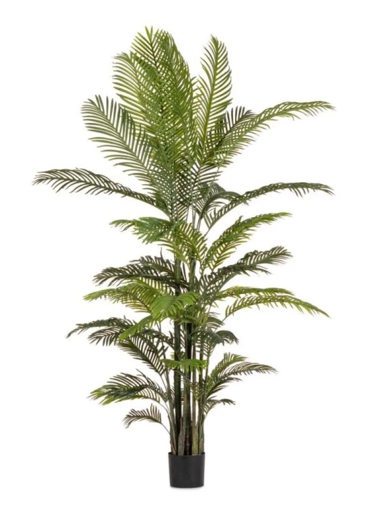 Piante Artificiali>Bizzotto PIANTA KENZIA C-VASO 33FOGLIE H210