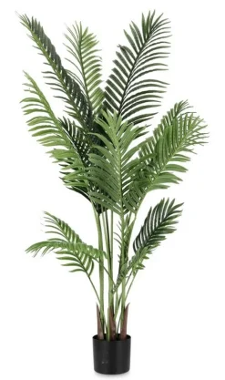 Piante Artificiali><noscript><img width=