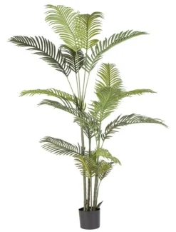 Piante Artificiali>Bizzotto PIANTA KENZIA C-VASO 18FOGLIE H180