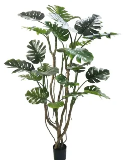 Piante Artificiali>Bizzotto PIANTA MONSTERA C-VASO H210