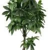 Piante Artificiali>Bizzotto PIANTA PACHIRA AQUATICA C-VASO 360F H160