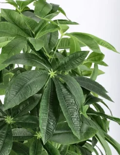 Piante Artificiali>Bizzotto PIANTA PACHIRA AQUATICA C-VASO 360F H160