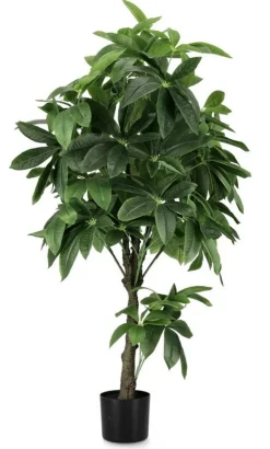 Piante Artificiali><noscript><img width=