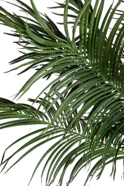 Piante Artificiali>Bizzotto PIANTA PALMA C-VASO 18FOGLIE H210