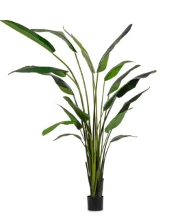 Piante Artificiali>Bizzotto PIANTA STRELITZIA C-VASO 18FOGLIE H310