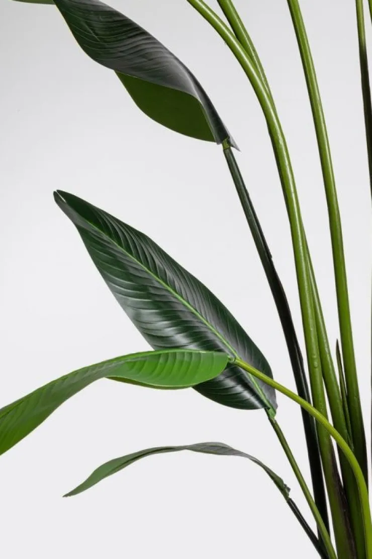 Piante Artificiali>Bizzotto PIANTA STRELITZIA C-VASO 18FOGLIE H310