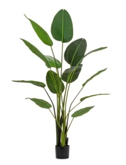 Piante Artificiali>Bizzotto PIANTA STRELITZIA C-VASO 13FOGLIE H185
