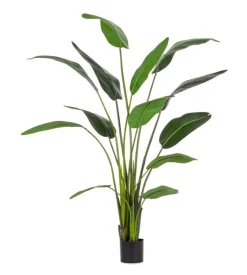 Piante Artificiali>Bizzotto PIANTA STRELITZIA C-VASO 13FOGLIE H235