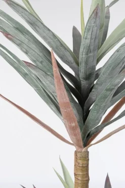 Piante Artificiali>Bizzotto PIANTA YUCCA C-VASO 68FOGLIE H128