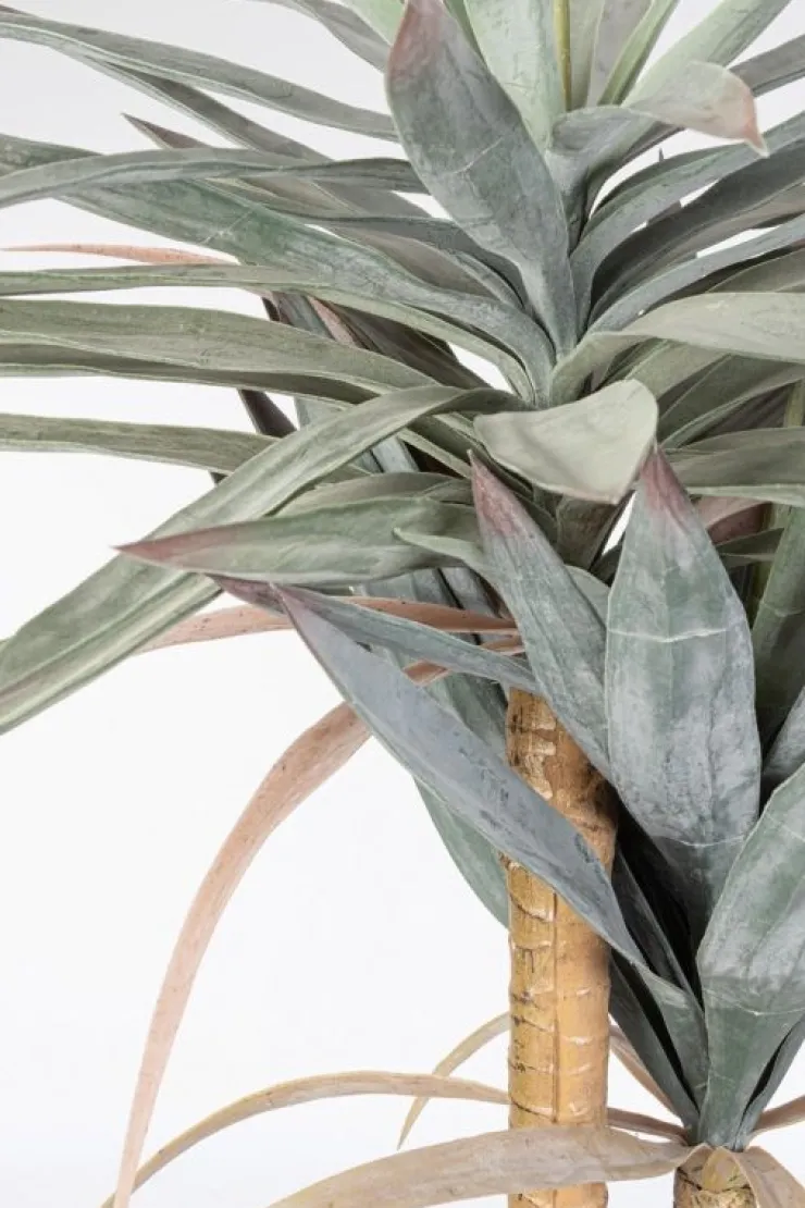 Piante Artificiali>Bizzotto PIANTA YUCCA C-VASO 120FOGLIE H152