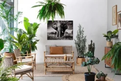Poltrone E Chaise Longue><noscript><img width=