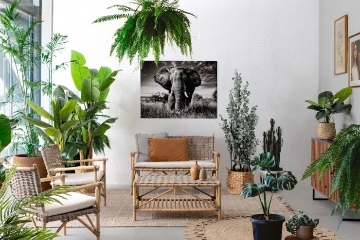 Poltrone E Chaise Longue>Bizzotto POLTRONA IN FIBRE NATURALI CON CUSCINO - TARIFA