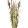 Rami E Corone>Bizzotto RAMO GYNERIUM PAMPAS H100