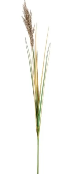 Rami E Corone>Bizzotto RAMO GYNERIUM PAMPAS H110