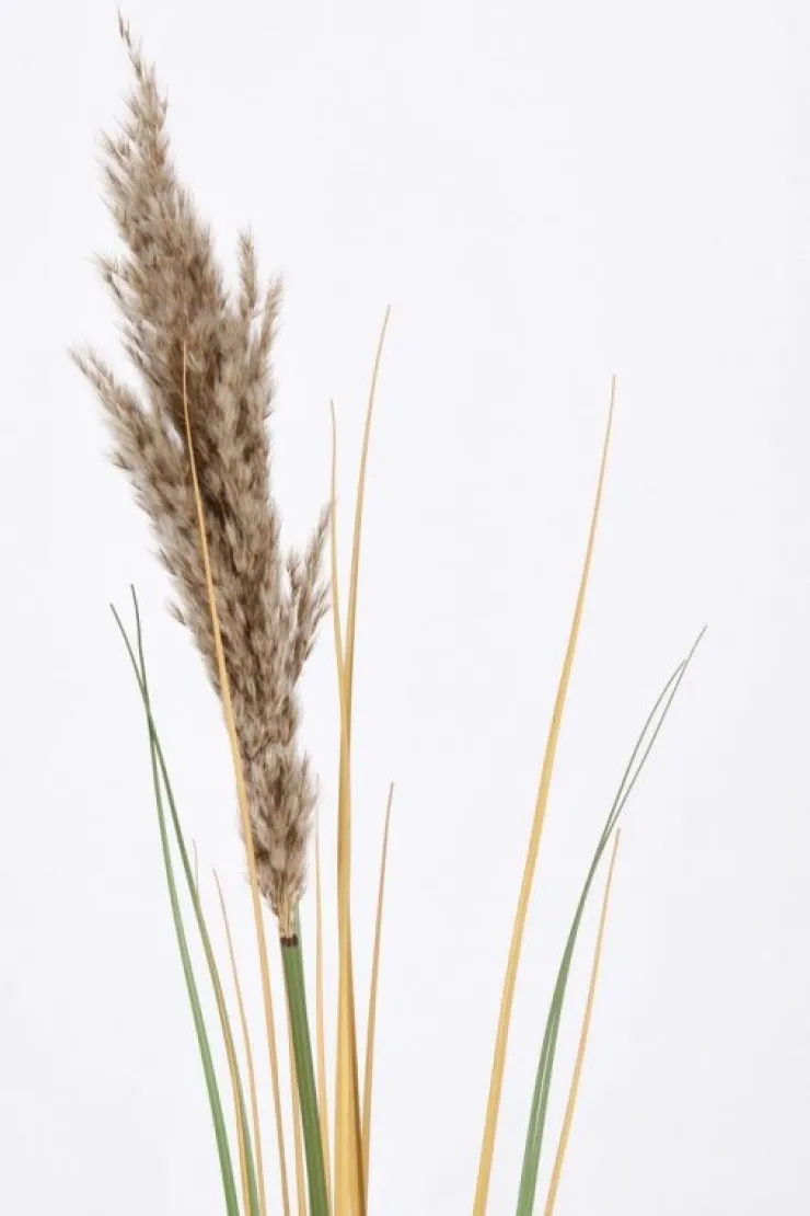 Rami E Corone>Bizzotto RAMO GYNERIUM PAMPAS H110