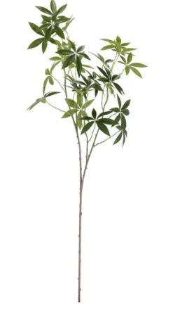 Rami E Corone>Bizzotto RAMO PACHIRA JAMAR VERDE H107CM