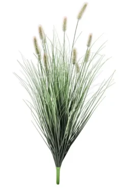 Rami E Corone>Bizzotto RAMO PENNISETUM H100