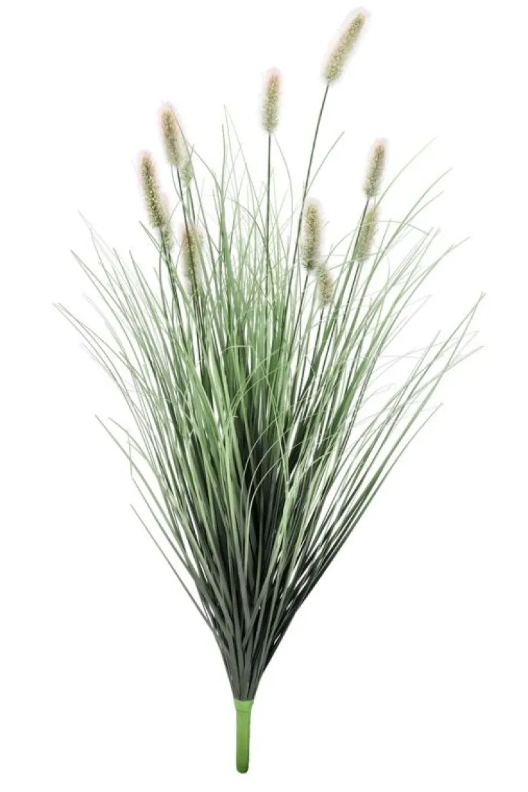 Rami E Corone>Bizzotto RAMO PENNISETUM H100