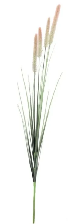 Rami E Corone>Bizzotto RAMO PENNISETUM H120