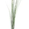 Rami E Corone>Bizzotto RAMO PENNISETUM H150