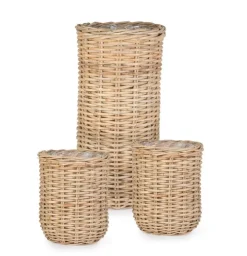 Ceste Decorative><noscript><img width=
